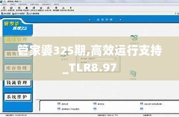 管家婆325期,高效运行支持_TLR8.97