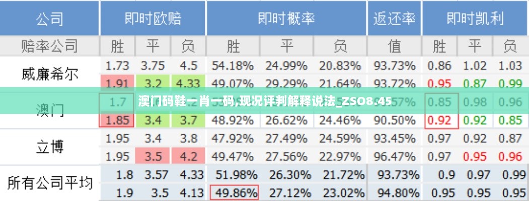 澳门码鞋一肖一码,现况评判解释说法_ZSO8.45