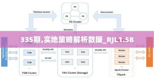 335期,实地策略解析数据_RJL1.58