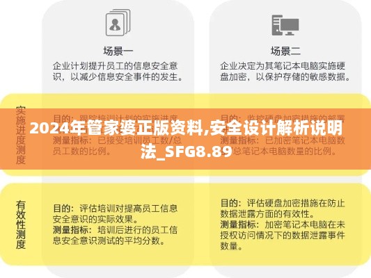 2024年管家婆正版资料,安全设计解析说明法_SFG8.89