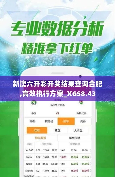 新澳六开彩开奖结果查询合肥,高效执行方案_XGS8.43