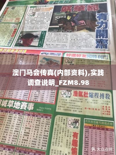 澳门马会传真(内部资料),实践调查说明_FZM8.98