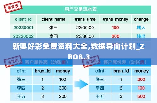 新奥好彩免费资料大全,数据导向计划_ZBO8.3