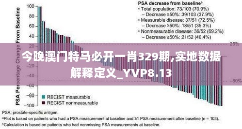 今晚澳门特马必开一肖329期,实地数据解释定义_YVP8.13