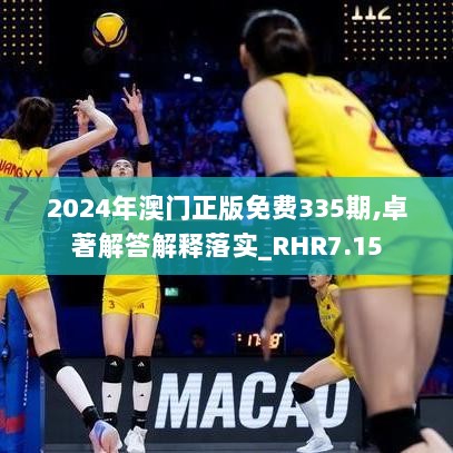 2024年澳门正版免费335期,卓著解答解释落实_RHR7.15