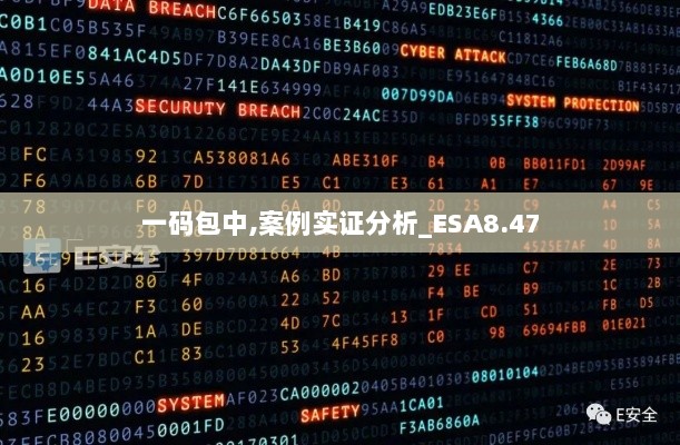 一码包中,案例实证分析_ESA8.47