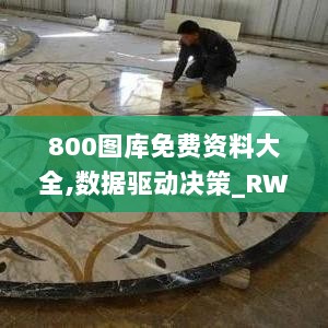 800图库免费资料大全,数据驱动决策_RWB8.60