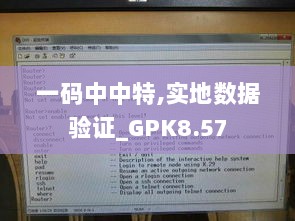 一码中中特,实地数据验证_GPK8.57