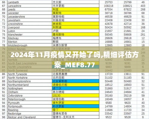 2024年11月疫情又开始了吗,精细评估方案_MEF8.77