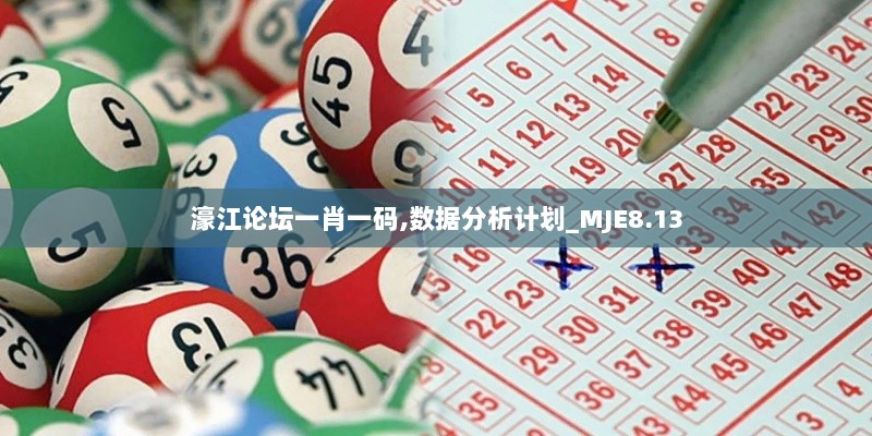 濠江论坛一肖一码,数据分析计划_MJE8.13