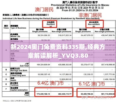 新2024奥门兔费资料335期,经典方案解读解析_YVQ3.80