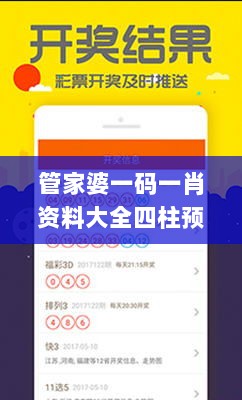 管家婆一码一肖资料大全四柱预测,策略规划_QYV8.96