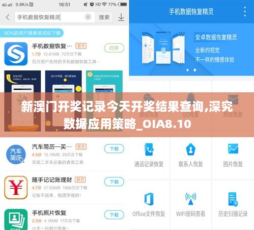 新澳门开奖记录今天开奖结果查询,深究数据应用策略_OIA8.10