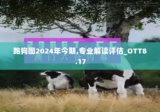 跑狗图2024年今期,专业解读评估_OTT8.17