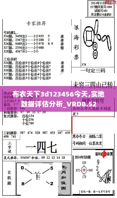 布衣天下3d123456今天,实地数据评估分析_VRD8.52