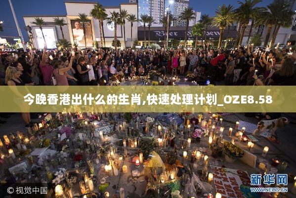 今晚香港出什么的生肖,快速处理计划_OZE8.58