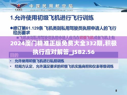 2024澳门精准正版免费大全332期,积极执行应对解答_JSB2.56