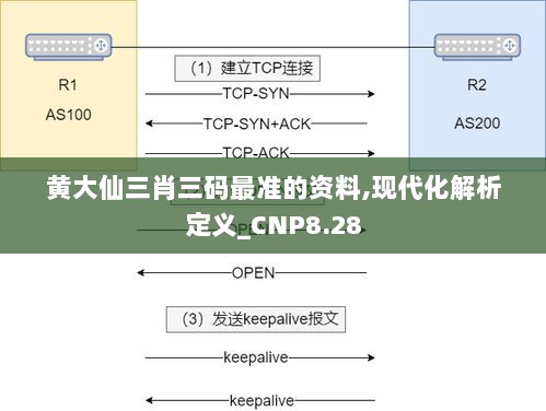 黄大仙三肖三码最准的资料,现代化解析定义_CNP8.28