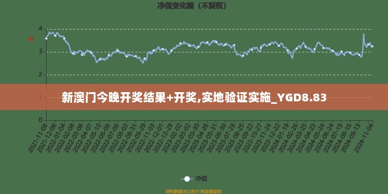 新澳门今晚开奖结果+开奖,实地验证实施_YGD8.83