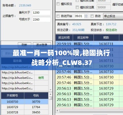 最准一肖一码100%噢,稳固执行战略分析_CLW8.37