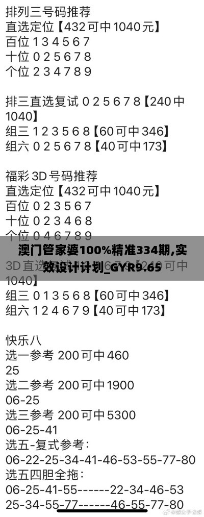 澳门管家婆100%精准334期,实效设计计划_GYR9.65