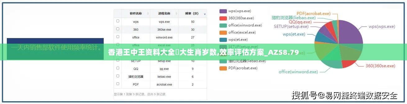 香港王中王资料大全枓大生肖岁数,效率评估方案_AZS8.79