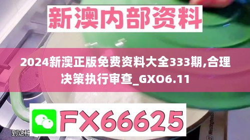 2024新澳正版免费资料大全333期,合理决策执行审查_GXO6.11