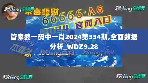 管家婆一码中一肖2024第334期,全面数据分析_WDZ9.28