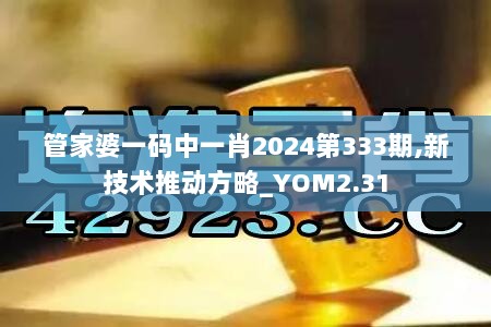 管家婆一码中一肖2024第333期,新技术推动方略_YOM2.31