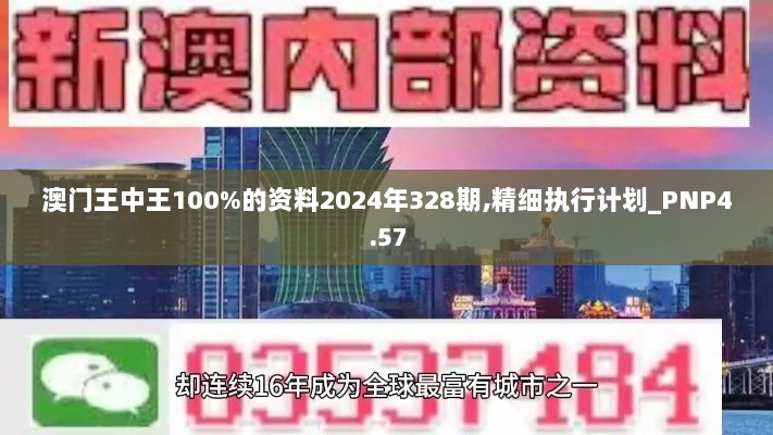 澳门王中王100%的资料2024年328期,精细执行计划_PNP4.57