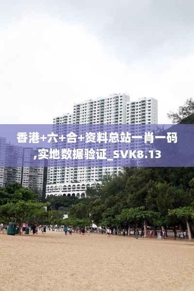 香港+六+合+资料总站一肖一码,实地数据验证_SVK8.13