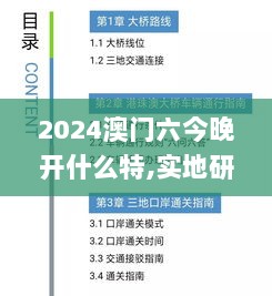 2024澳门六今晚开什么特,实地研究解答协助_JNY8.93