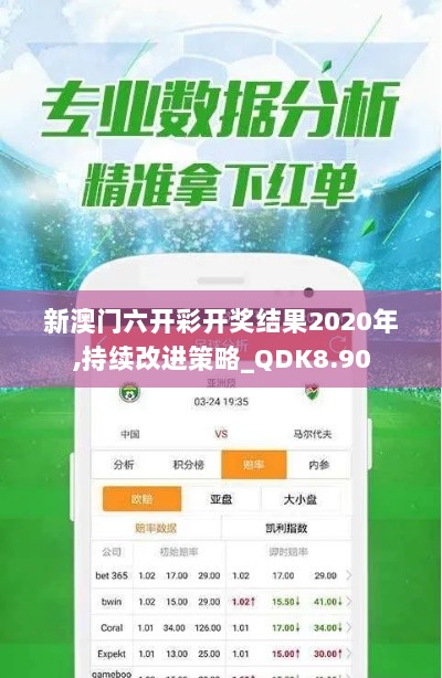 新澳门六开彩开奖结果2020年,持续改进策略_QDK8.90