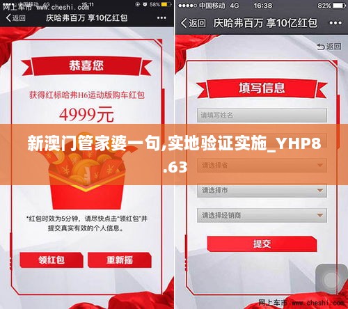 新澳门管家婆一句,实地验证实施_YHP8.63