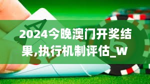 2024今晚澳门开奖结果,执行机制评估_WSB8.30