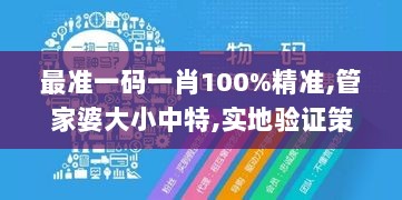 最准一码一肖100%精准,管家婆大小中特,实地验证策略具体_THO8.54