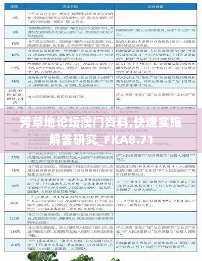 芳草地论坛澳门资料,快速实施解答研究_FKA8.71