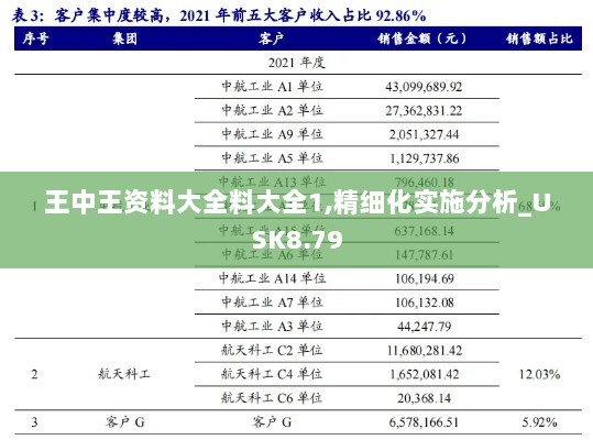 王中王资料大全料大全1,精细化实施分析_USK8.79