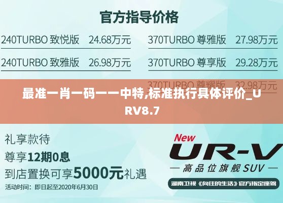 最准一肖一码一一中特,标准执行具体评价_URV8.7