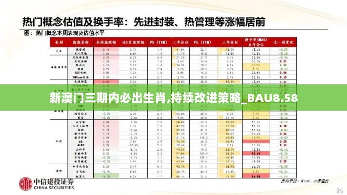 新澳门三期内必出生肖,持续改进策略_BAU8.58