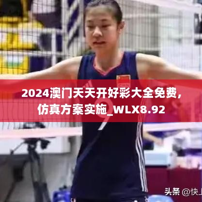 2024澳门天天开好彩大全免费,仿真方案实施_WLX8.92