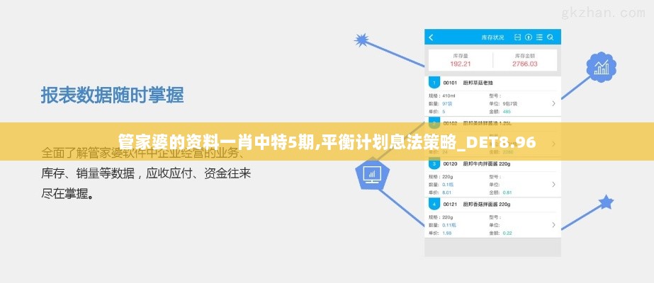 管家婆的资料一肖中特5期,平衡计划息法策略_DET8.96