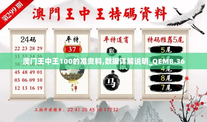 澳门王中王100的准资料,数据详解说明_QEM8.36