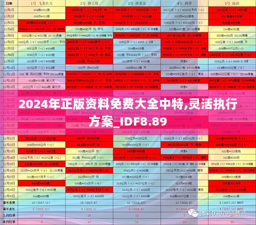 2024年正版资料免费大全中特,灵活执行方案_IDF8.89