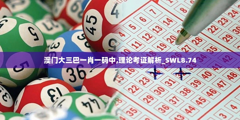 澳门大三巴一肖一码中,理论考证解析_SWL8.74