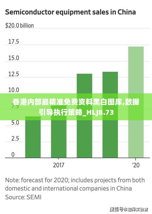 香港内部最精准免费资料黑白图库,数据引导执行策略_HLJ8.73