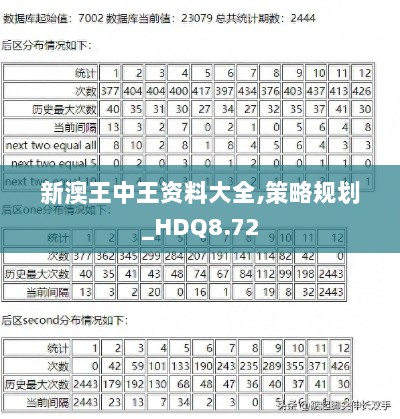 新澳王中王资料大全,策略规划_HDQ8.72