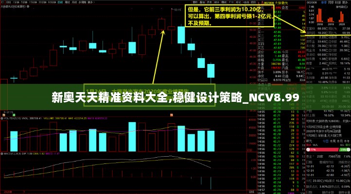 新奥天天精准资料大全,稳健设计策略_NCV8.99