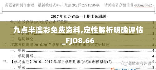 九点半澳彩免费资料,定性解析明确评估_FJO8.66