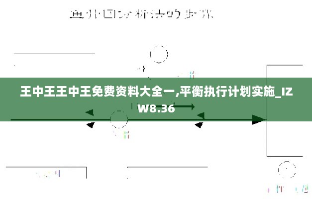 王中王王中王免费资料大全一,平衡执行计划实施_IZW8.36